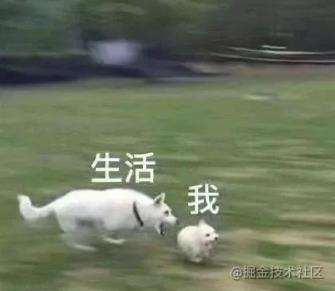 继承 | 8月更文挑战